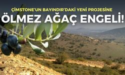 Çimstone’un Bayındır’daki yeni projesine ‘ölmez ağaç’ engeli!