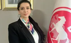 Demokrat Parti'de deprem: Dilek Acar Güleç görevlerinden istifa etti!