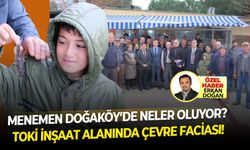 TOKİ projesinin gerçekleştireceği Doğaköy'de yüzlerce balık öldü!