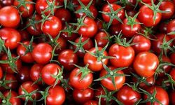 Dünyanın en iyi 10 domatesi açıklandı: TasteAtlas listesinde Türkiye imzası!