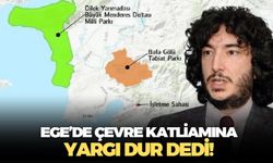 Aydın Valiliği kaybetti, çevreciler kazandı! Akbük'te kalker ocağına ÇED gerekli değildir kararına yargı dur dedi