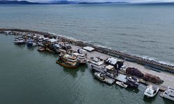 Egeli balıkçılar kaybı telafi etmek için denize açılıyor!