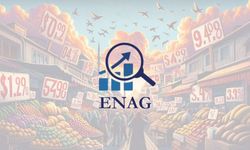 SON DAKİKA! ENAG 2026 ocak ayı verilerini açıkladı!
