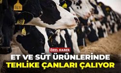 Et ve süt ürünlerinde tehlike çanları çalıyor: Şapın faturası ağır olacak!