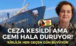 Çevreciler Urla için ayakta: Ceza kesildi, gemi neden hala duruyor!