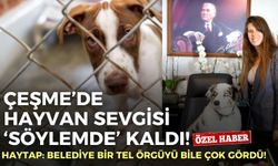 Çeşme’de hayvan sevgisi ‘söylemde’ kaldı! HAYTAP: Belediye bir tel örgüyü bile çok gördü!