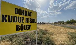 İstanbul'da kuduz alarmı! Valilikten açıklama geldi!