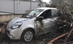 İzmir’de fırtına etkisi: Menemen’de ağaç otomobilin üzerine devrildi, Çeşme’de deniz taştı