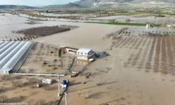 Menemen’de sel baskını! Ekipler yüzlerce hayvan için zamanla yarıştı