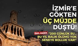 İzmir’e gökten üç müjde düştü: 200 günlük su, bu yıl balık ölümü yok, seneye bolluk var!