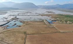 İzmir'de barajların son durumu nasıl? 4 Şubat 2026 barajların doluluk oranları