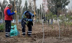 İzmir'de betonun içinden orman fışkırıyor! Atıl alanları "Mikroforest"lar kurtaracak
