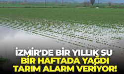 İzmir'de bir yıllık su bir haftada yağdı, tarım alarm veriyor!