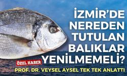 Prof. Dr. Veysel Aysel tek tek anlattı: İzmir’de, nereden tutulan balıklar yenilmemeli?