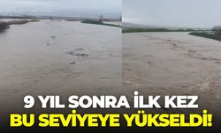 İzmir’e can suyu! Bakırçay 2017’den sonra ilk kez böyle coştu