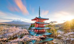 Japonya erken seçim için sandık başında