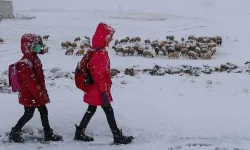 Kırklareli'nde 3 Şubat'ta yarın okullar tatil mi? Kar tatili olan ilçeler ve son durum