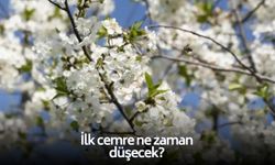 Kısa bir zaman kaldı! İlk cemre ne zaman düşecek? 2026