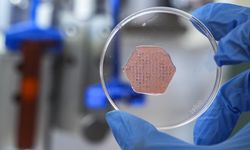 Klasik yara bantları tarihe karışıyor! İzmir’den probiyotikli devrim