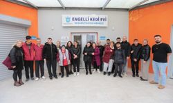 Dünya Kediler Günü’nde engeller sevgiyle aşıldı