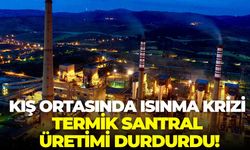 Manisa Soma'da kış ortasında ısınma krizi: Termik Santral üretimi durdurdu!