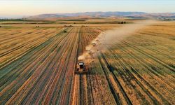 Mazot ve gübre desteği 2026 ödemeleri ne zaman? Çiftçiler yeni destekleri ne zaman alacak?