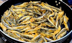 Muğla’da hamsi şöleni! 5 ton hamsi vatandaşlarla buluştu