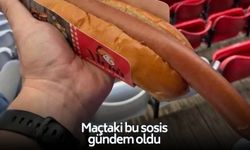 Nottingham Forest-Fenerbahçe maçındaki bu sosis gündem oldu!