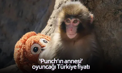 "Punch'ın annesi" olarak bilinen peluş maymun oyuncak Türkiye'de satışa çıkarıldı!