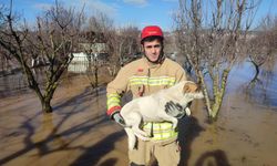 Sağanak vurdu, itfaiye seferber oldu! Manisa’da aileler ve hayvanlar kurtarıldı