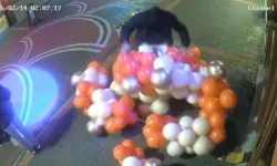 Sevgililer Günü için asılan balonlara saldırı!