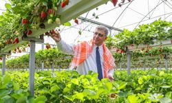 Gıda güvenliğinde İzmir imzası: Milano Paktı’na katılım!