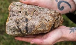 Taş gibi görünüyor, kokusu servet getiriyor: Ambergris avı başladı