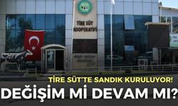 Tire Süt’te sandık kuruluyor! Değişim mi, devam mı?