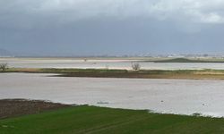 Yağmur Torbalı’da üreticinin yüzünü güldürdü