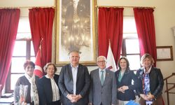 Urla’da zeytin için güç birliği! Birgi’de koleksiyon bahçesi