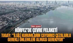 İzmir Körfezi’nde yeni çevre felaketi !