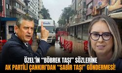 Özel’in “böbrek taşı” sözlerine AK Partili Çankırı’dan “sabır taşı” göndermesi!