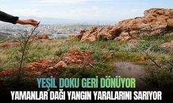 Yamanlar Dağı yangın yaralarını sarıyor: Yeşil doku geri dönüyor!