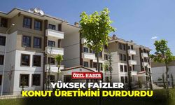 Yüksek faizler konut üretimini durdurdu: “Satılmayacak gayrimenkuller, üretilmek istenmiyor”