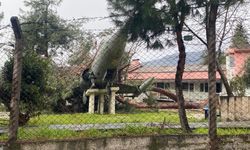 Uçaklı okul çam ağacının hedefi oldu!