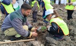 Aliağa’da yanan alanlar yeniden yeşeriyor: Fidanlar umut oldu