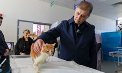 Başkan Tugay: "Sokakta sahipsiz tek bir hayvan kalmamasını gönülden istiyoruz"