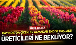 Bayındır’da çiçekler açmadan endişe başladı! Üreticileri ne bekliyor?