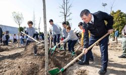 İzmir’in akciğerine 190 yeni fidan!