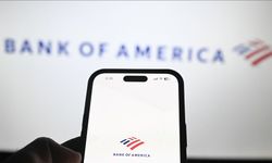 Jeffrey Epstein mağdurlarına Bank of America'dan 72 milyon 500 bin dolar tazminat