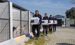 Bornova’da sokak hayvanlarına ilaç gibi destek: Binlerce takviye gıda dağıtıldı!