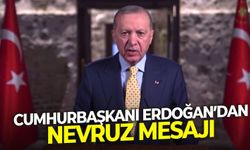 Cumhurbaşkanı Erdoğan'dan Nevruz mesajı: "Dünyamıza barış getirsin"