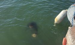 Konak'ta denize düşen engelli vatandaş kurtarılamadı!