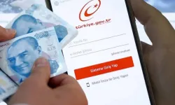 Dikkat! Emekliliğiniz iptal edilmiş olabilir! Hemen e-Devlet'e girin!